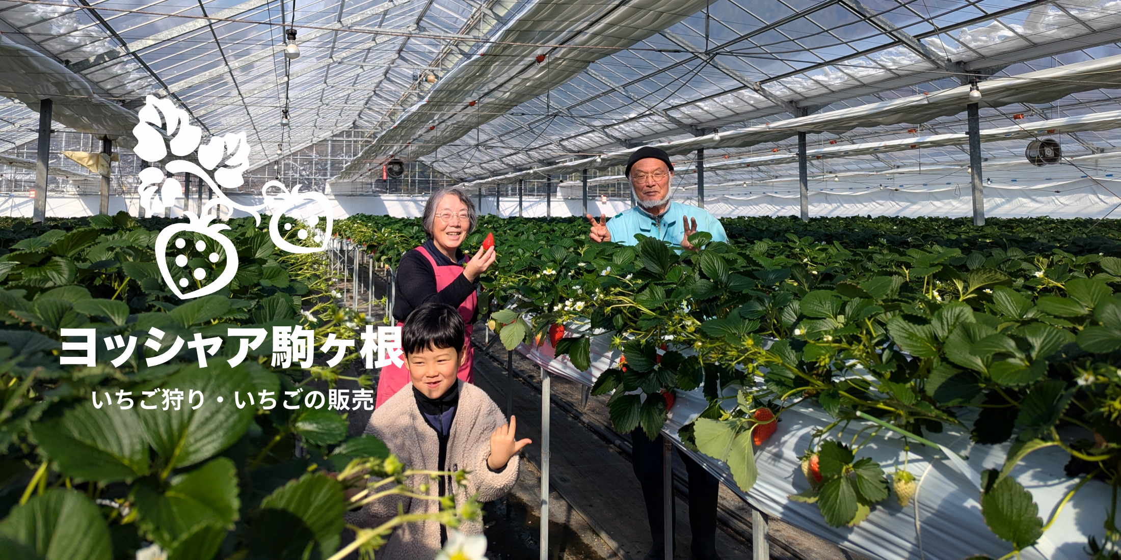 いちご狩り・いちごの販売伊那市